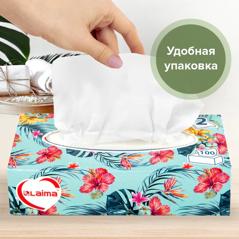 Салфетки косметические 100 шт. в картонном боксе 2-слойные, LAIMA "Everyday", 20х20 см, 113588
