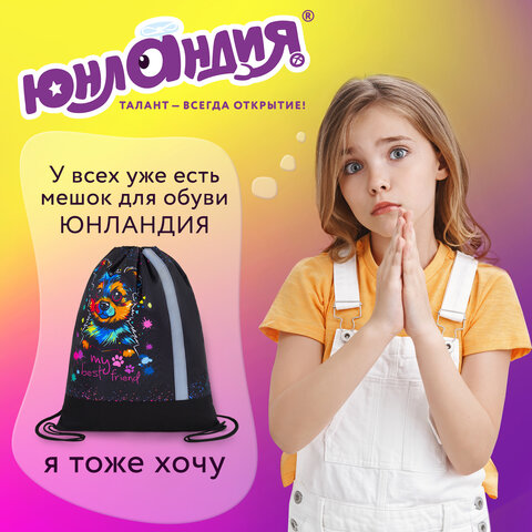 Мешок для обуви ЮНЛАНДИЯ, плотный, светоотражающая полоса, 46х36 см, "True friend", 272410