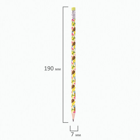 Карандаш чернографитный ЮНЛАНДИЯ "ФРУКТЫ", 1 шт., HB, с ластиком, корпус ассорти, 181777