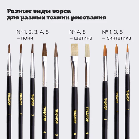 Кисти ПИФАГОР, набор 10 шт. (ПОНИ: плоская № 4, круглые № 1, 2, 3, 5; СИНТЕТИКА: круглые № 1, 3, 5; ЩЕТИНА: плоские № 4, 8), блистер, 200505