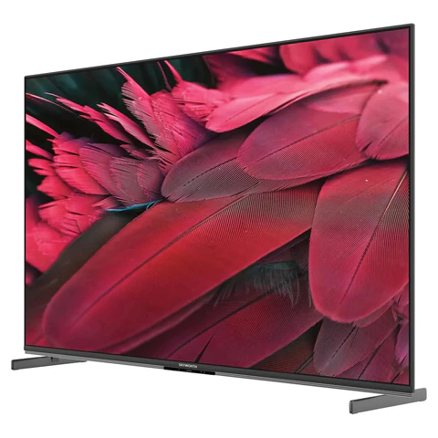 Телевизор SKYWORTH 55X85G, 55" (140 см), QD-Mini LED, 3840x2160, 4K, 16:9, Google TV, Wi-Fi, караоке, черный