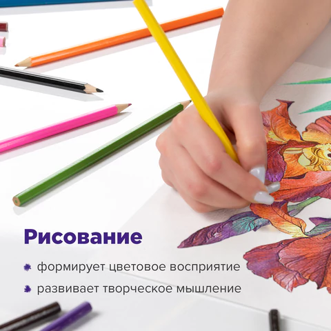 Карандаши цветные акварельные BRAUBERG "АКАДЕМИЯ", 24 цвета, шестигранные, грифель 3 мм, натуральное дерево, 181400
