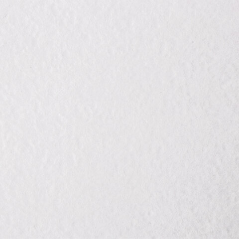 Бумага для акварели А4, 40 л., 200 г/м2, ГОЗНАК СПб, в коробке, BRAUBERG ART CLASSIC, "СИРЕНЕВЫЙ БУКЕТ", 112321