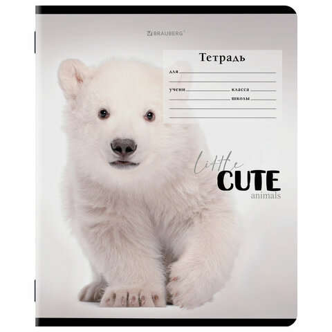 Тетрадь 12 л. BRAUBERG, клетка, обложка картон, CUTE ANIMALS, 107266