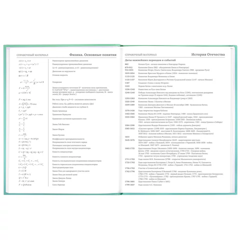 Дневник 5-11 класс 48 л., твердый, BRAUBERG, выборочный лак, с подсказом, "Гусь-джентльмен", 106884
