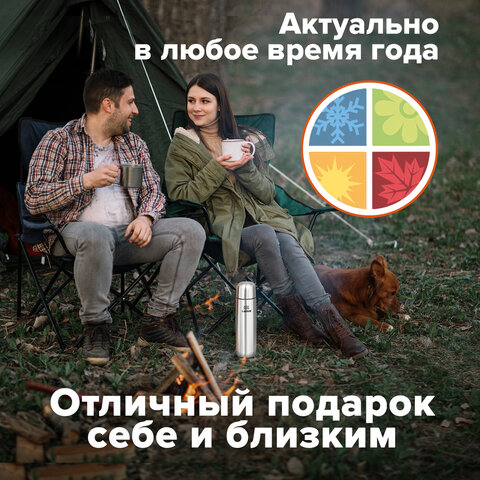 Термос LAIMA классический с узким горлом, 0,5 л, нержавеющая сталь, 601412