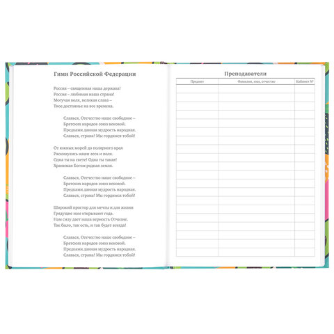 Дневник 5-11 класс 48 л., твердый, BRAUBERG, блестки, с подсказом, "Avocado", 106419