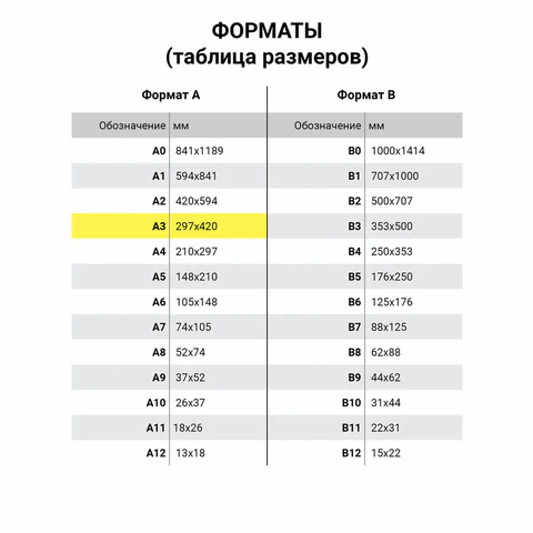 Бумага для гуаши А3 20 л., 180 г/м2, 297х420 мм, в папке, BRAUBERG АКАДЕМИЯ, "Мальчик с гусём", 117738
