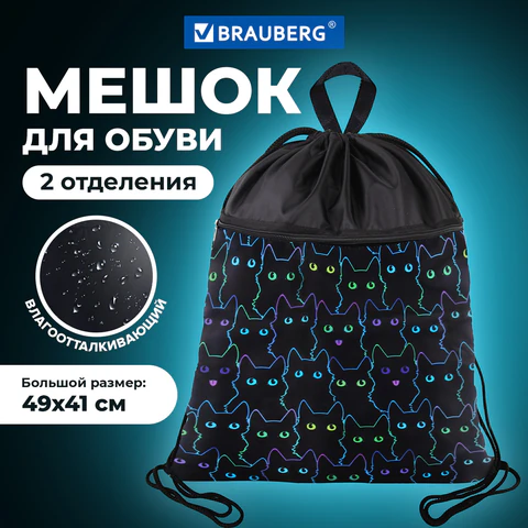 Мешок для обуви BRAUBERG БОЛЬШОЙ, с ручкой, карман на молнии, сетка, 49х41 см, "Cats", 271059