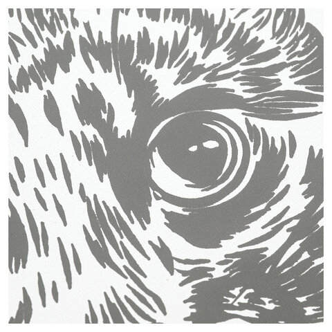 Гравюра, 18х24 см, АССОРТИ, МУЛЬТИ АРТ