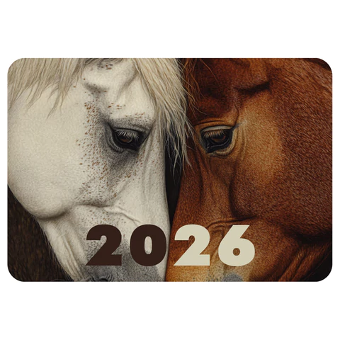 Календарь карманный на 2026 г, BRAUBERG, 64х93 мм, АССОРТИ №2, 20 видов, 117304