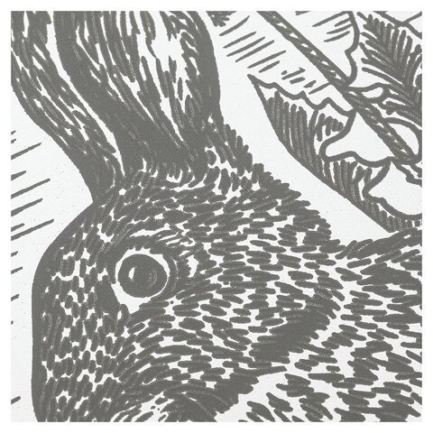 Гравюра, 18х24 см, АССОРТИ, МУЛЬТИ АРТ