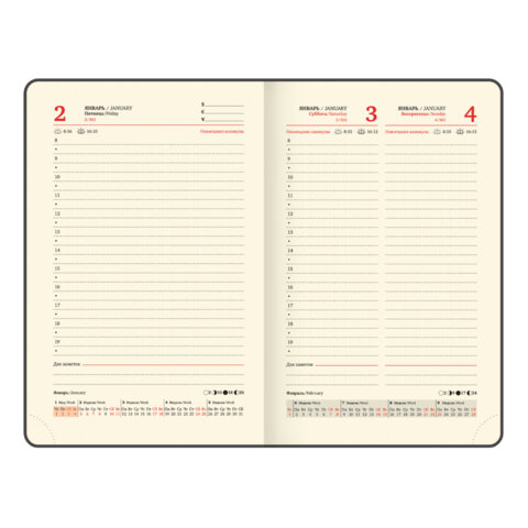 Ежедневник датированный 2026, МАЛЫЙ ФОРМАТ 100х150 мм, А6, BRAUBERG "Iguana", под кожу, коричневый, 117253