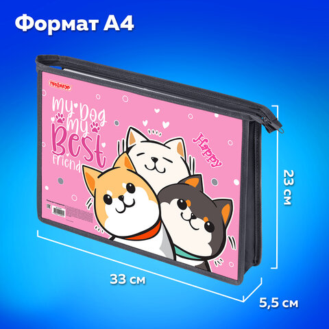 Папка для тетрадей ПИФАГОР А4, 1 отделение, картон/пластик, на молнии, "Best team", 272124