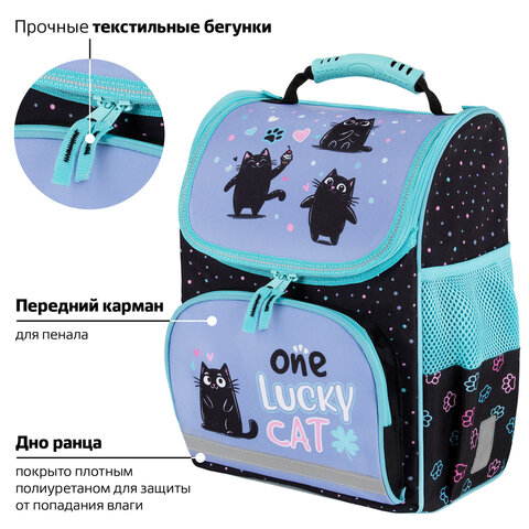 Ранец ПИФАГОР BASIC, 1 отделение, 3 кармана, эргономичная спинка, "Funny cats", 35х28х18 см, 273135