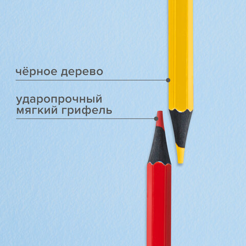 Карандаши цветные BRAUBERG, 24 цвета, шестигранные, грифель 3,3 мм, черное дерево, 181858