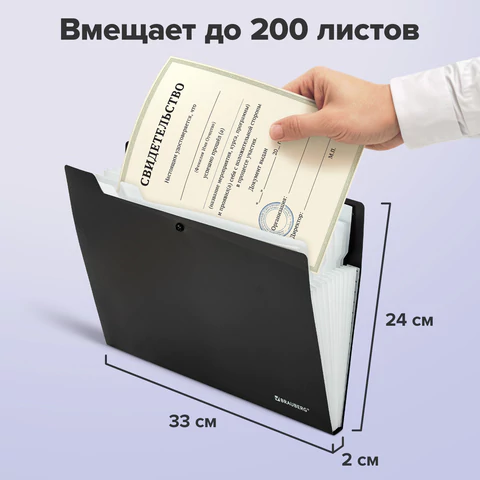 Папка-органайзер на кнопке 12 отделений, BRAUBERG "Extra", А4, черная с белым, 271930
