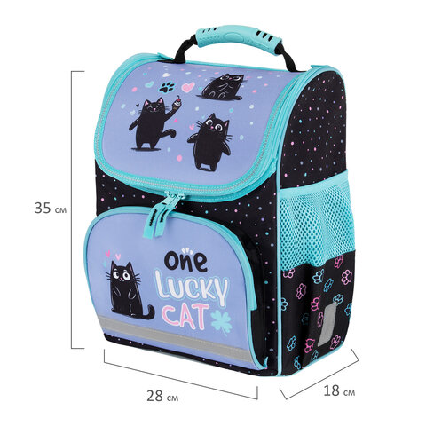 Ранец ПИФАГОР BASIC, 1 отделение, 3 кармана, эргономичная спинка, "Funny cats", 35х28х18 см, 273135