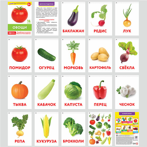 Карточки Домана, 8 развивающих брошюр по методике ГЛЕННА ДОМАНА, 145 изображений, ЮНЛАНДИЯ, 691022
