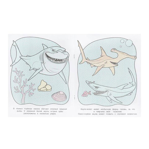 Раскраска водная "Для самых маленьких", АССОРТИ, 200х250 мм, 8 стр., лицензия, УМКА