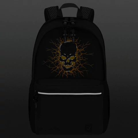 Рюкзак BRAUBERG FASHION CITY универсальный, 2 отделения, "Skull", черный, 46х31х15 см, 272572