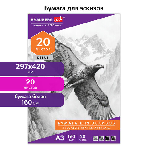 Папка для рисования БОЛЬШОГО ФОРМАТА А3, 20 л., 160 г/м2, BRAUBERG, 297х420 мм, "Орел", 125228