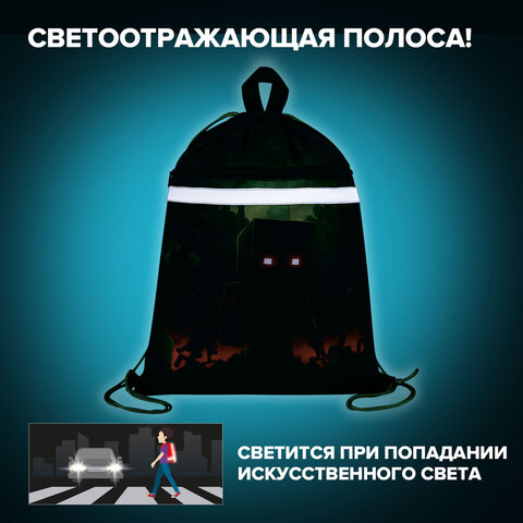 Мешок для обуви BRAUBERG, с петлей, светоотражающая полоса, 2 отделения, 46х36 см, "Ночной воин", 272396