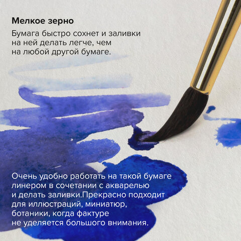 Папка для акварели/планшет, 300 г/м2, 270х390 мм, склейка, мелкое зерно, 20 л., BRAUBERG ART PREMIERE, 113249