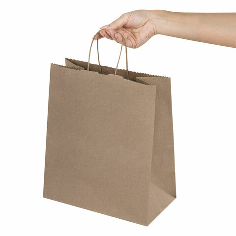 Крафт-пакет бумажный 22х12х25 см, КОМПЛЕКТ 50 шт., крученые ручки, плотность 90 г/м2, LAIMA ECO CRAFT, 609684