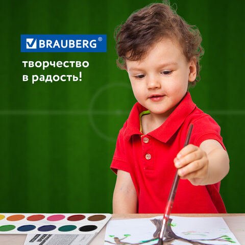 Краски акварельные BRAUBERG 12 цветов "Футбол", медовые, круглые кюветы, 192565