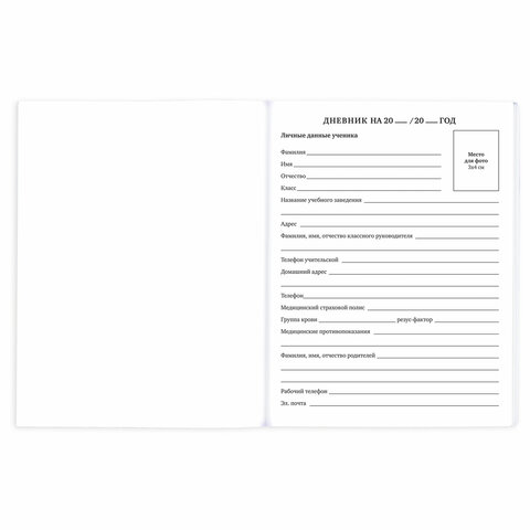 Дневник 1-11 класс 40 л., на скобе, ПИФАГОР, обложка картон, "Совушки", 106814