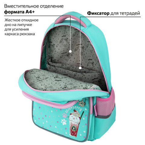 Рюкзак ЮНЛАНДИЯ COMPLETE с пеналом в комплекте, эрго-спинка, "Yummy cat", 42х29х14 см, 270663