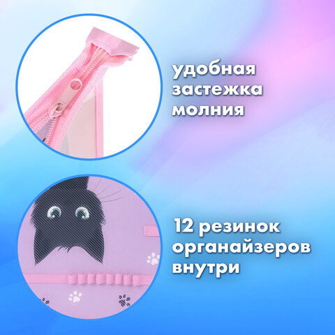 Папка для труда BRAUBERG А4, 2 отделения, пластик, молния сверху, органайзер, "Hide and seek", 273399
