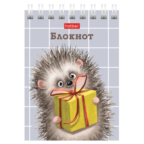 Блокнот МАЛЫЙ ФОРМАТ А7, 40 л., гребень, картон, клетка, HATBER, "Хорошо быть ёжиком", 081183, 40Б7В1гр