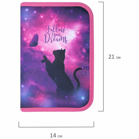 Пенал BRAUBERG, 1 отделение, 1 откидная планка, полиэстер, 21х14 см, "Space cat", 270712