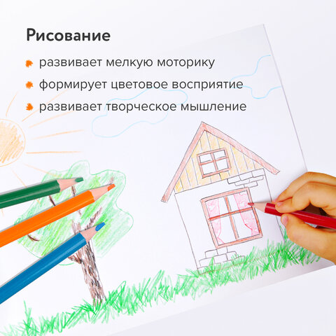 Карандаши цветные BRAUBERG PREMIUM, 12 цветов, шестигранные, грифель 3 мм, 181666
