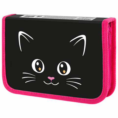 Пенал ПИФАГОР, 1 отделение, ламинированный картон, 19х11 см, "Dark kitten", 273467
