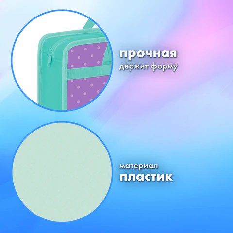 Папка на молнии с ручками BRAUBERG А4, 1 отделение, пластик, 80 мм, "Funny kittens", 273368