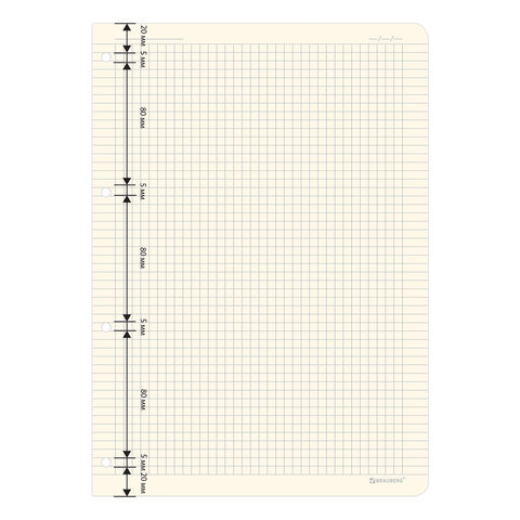 Сменный блок для тетради на кольцах БОЛЬШОЙ ФОРМАТ А4 120 л., BRAUBERG, ПОВЫШЕННОЙ ПЛОТНОСТИ, кремовый, 404517