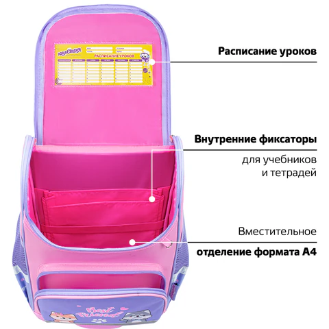 Ранец ЮНЛАНДИЯ WISE, 1 отделение, 3 кармана, устойчивое дно, Best fellows, 37х29х15 см, 273161