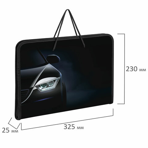 Папка для труда на молнии с ручками ПИФАГОР А4, 1 отделение, пластик, органайзер, "Car flash", 272231