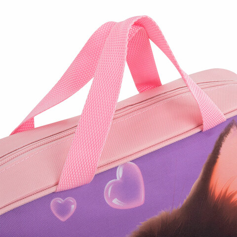 Папка на молнии с ручками BRAUBERG А4, 1 отделение, полиэстер, 80 мм, "Paw prints", 273300