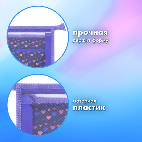 Папка для труда на молнии BRAUBERG А4, 2 отделения, органайзер, "Sleeping kitten", 273401