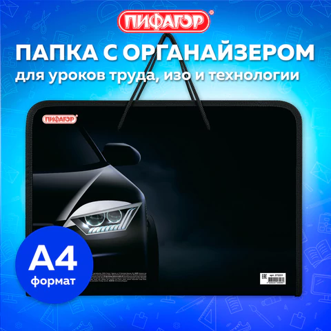 Папка для труда на молнии с ручками ПИФАГОР А4, 1 отделение, пластик, органайзер, "Car flash", 272231