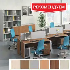 Набор мебели "Бюджет"