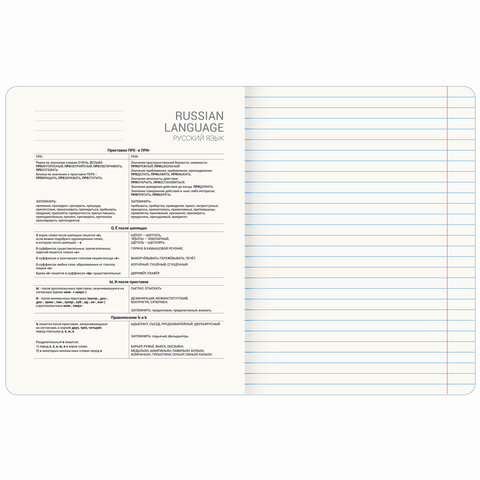 Тетрадь предметная VINTAGE 48 л., SoftTouch, РУССКИЙ ЯЗЫК, линия, подсказ, BRAUBERG, 405157