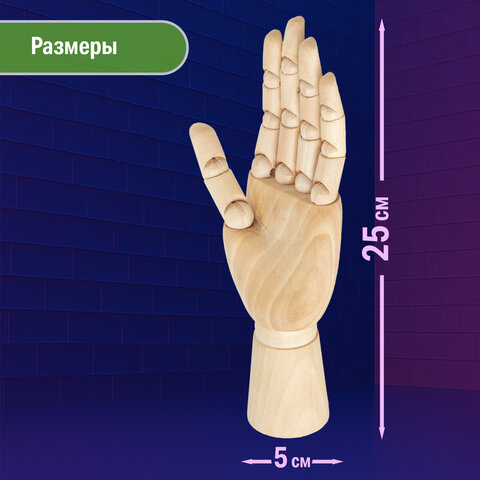 Манекен художественный BRAUBERG ART CLASSIC "РУКА", высота 25 см., женская левая, дерево, 191298