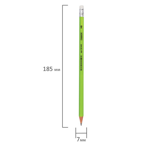 Карандаш чернографитный ПИФАГОР, 1 шт., НВ, пластиковый, корпус салатовый, с ластиком, 181445