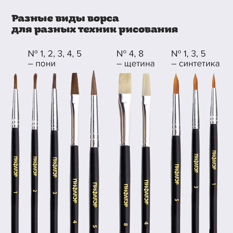 Кисти ПИФАГОР, набор 10 шт. (ПОНИ: плоская № 4, круглые № 1, 2, 3, 5; СИНТЕТИКА: круглые № 1, 3, 5; ЩЕТИНА: плоские № 4, 8), блистер, 200505