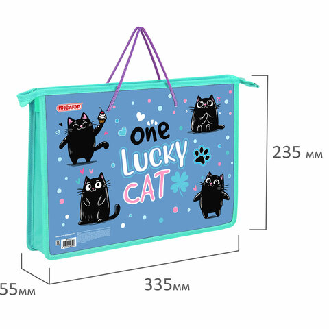 Папка на молнии с ручками ПИФАГОР А4, 1 отделение, пластик, ручки-шнурок, "Funny cats", 273353